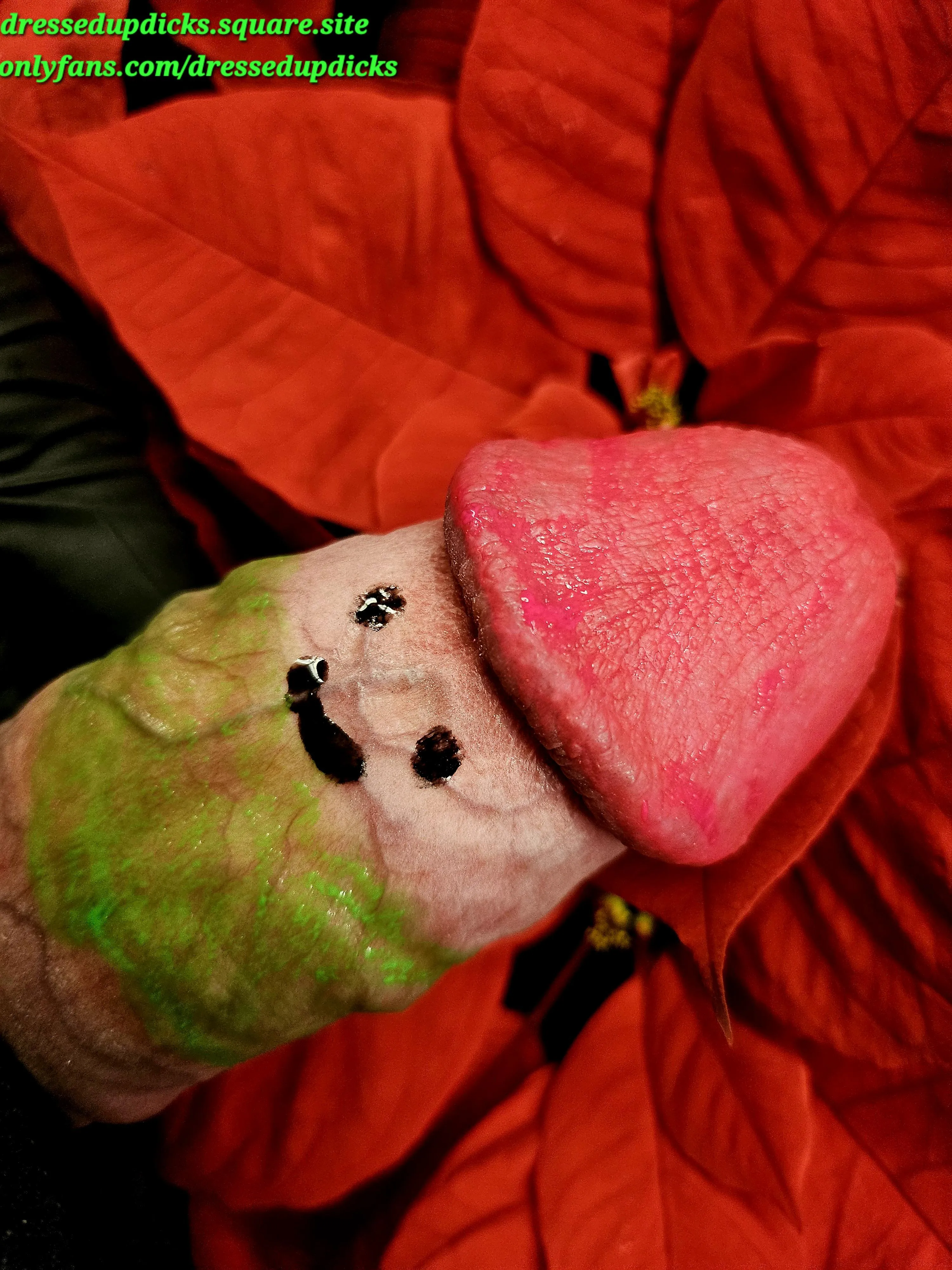 Now he's on a pointsetia!🎄