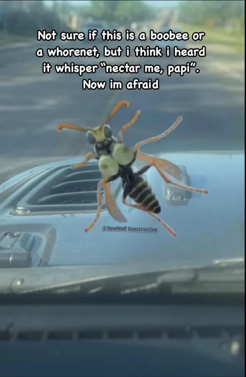 Originally a meme but enjoy the hoobies