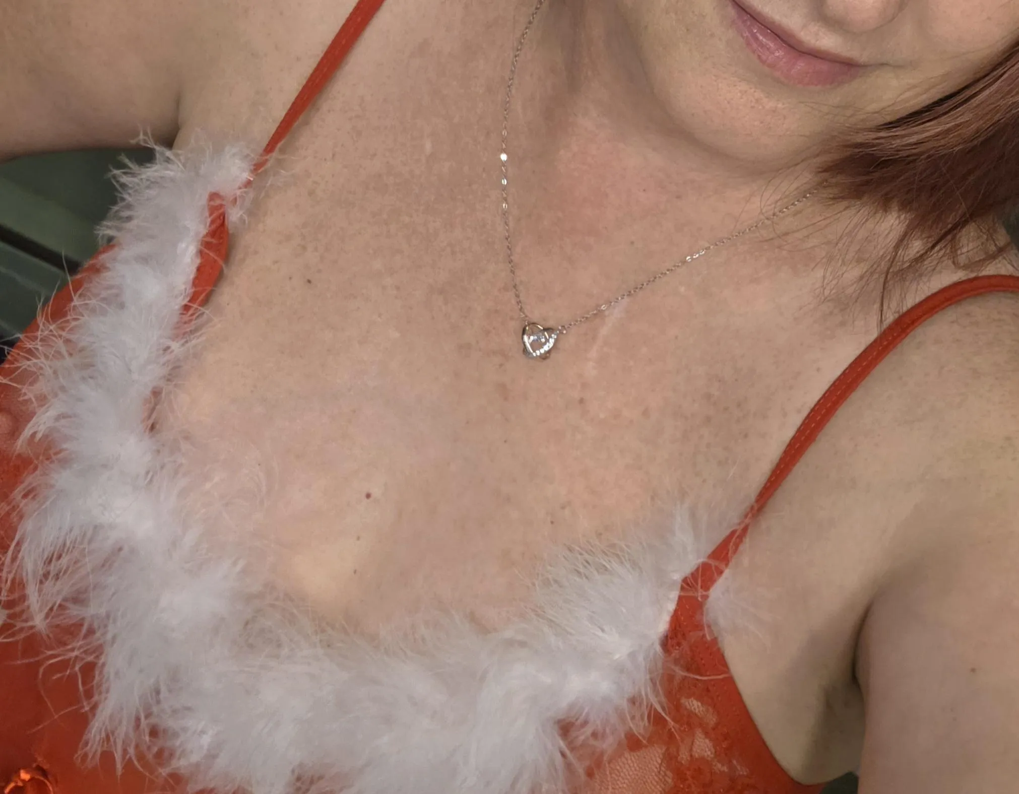 Collared for Christmas