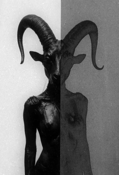 Illuminate  |  “Everything sinful is glamorous these days, isn’t it” ― Aimee Agresti