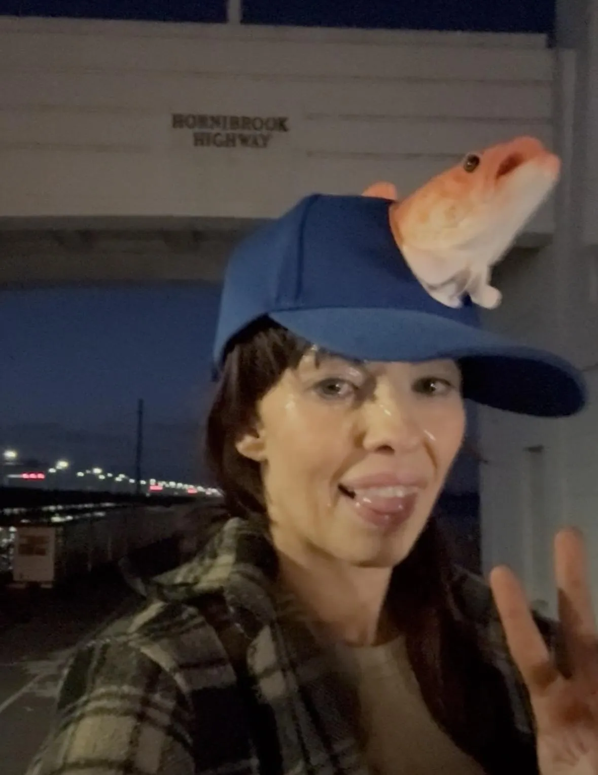 Do you think BCF would sponsor me? 😂