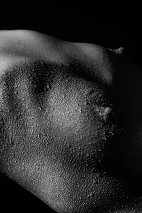 Seduction In Shadows