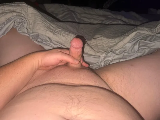 42 m bottom need chub too sc rololafalo