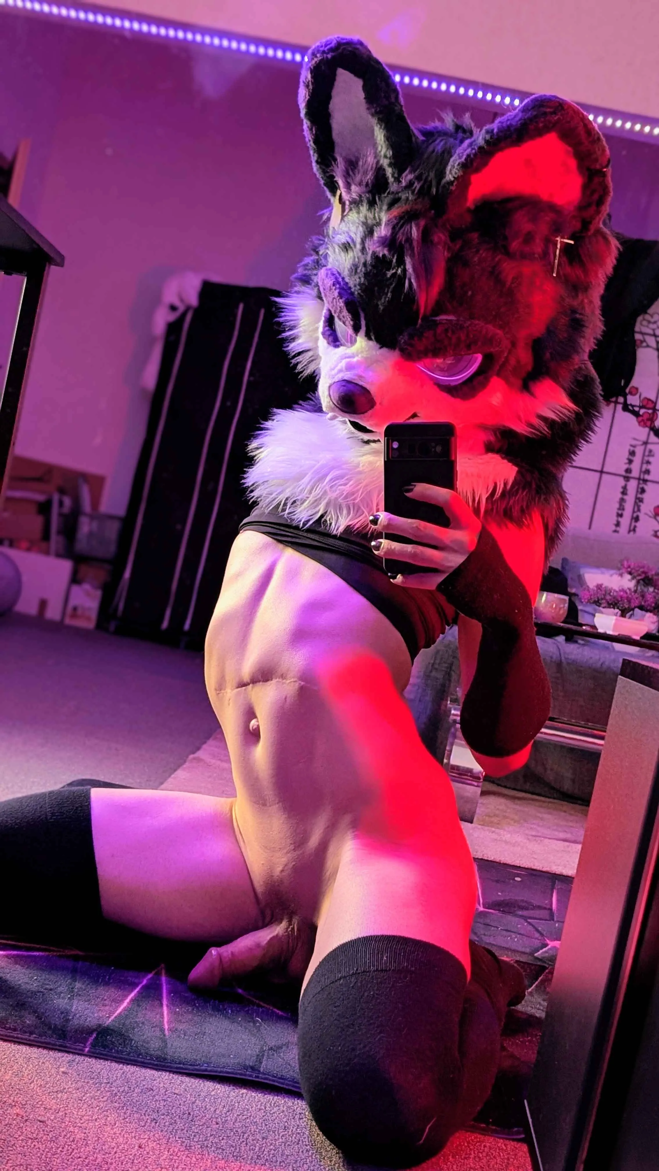 Dare kiss the tummy? ;3