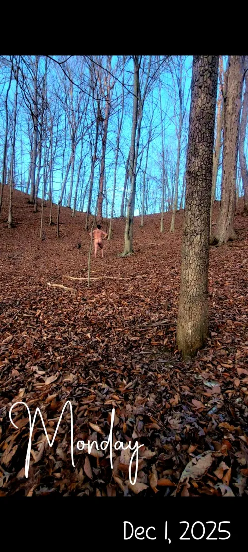 Enjoying the day in the woods