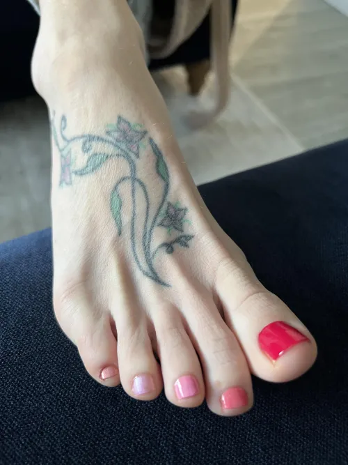 Queen toes right here [oc]