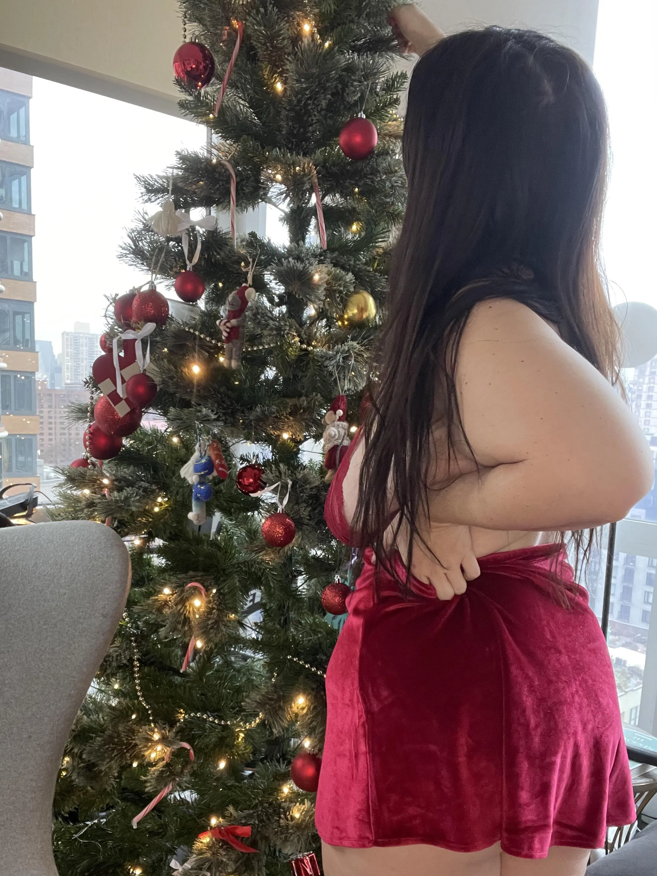 tim to take down the tree, sigh