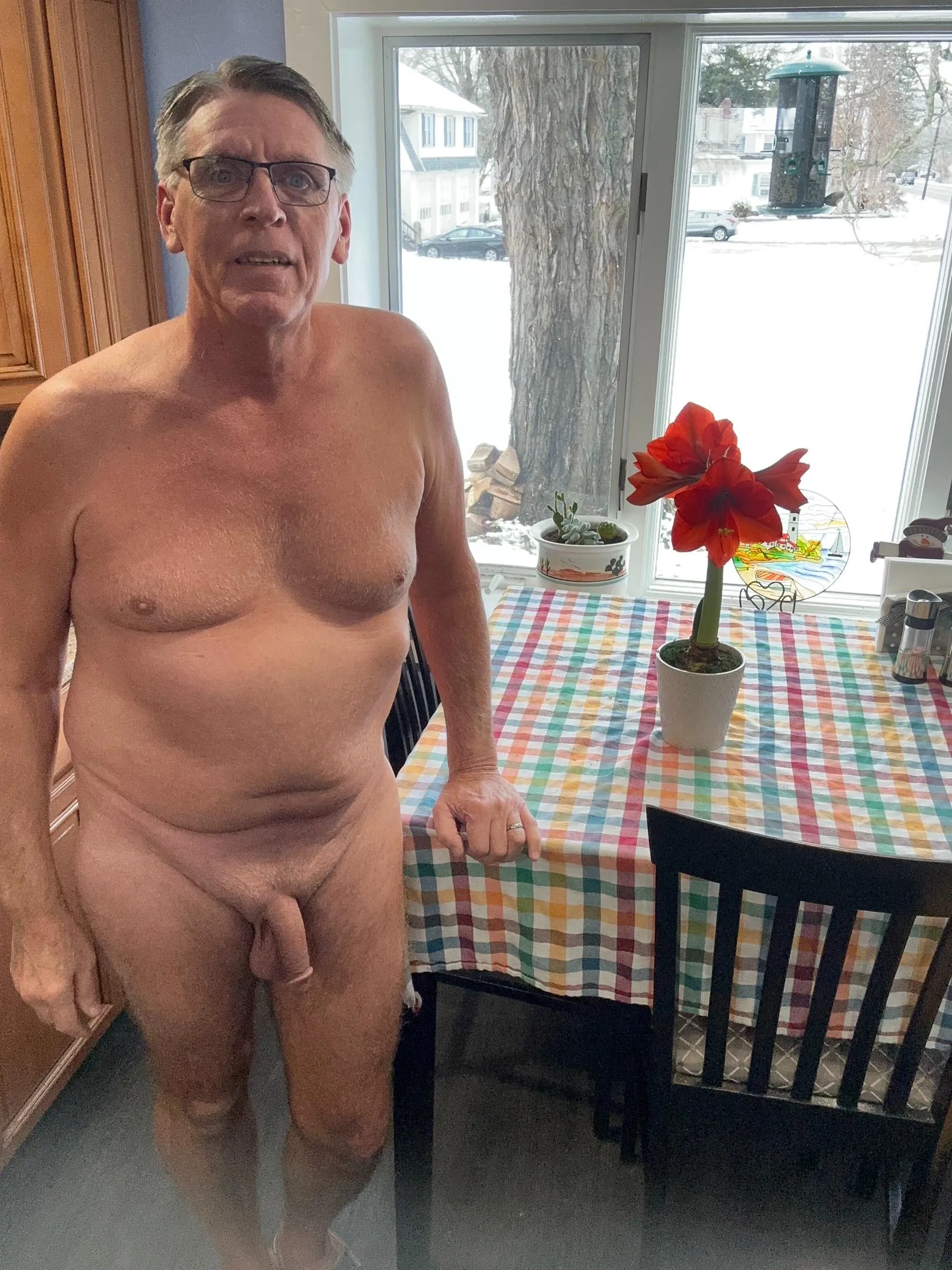 Christmas Amaryllis in full bloom.