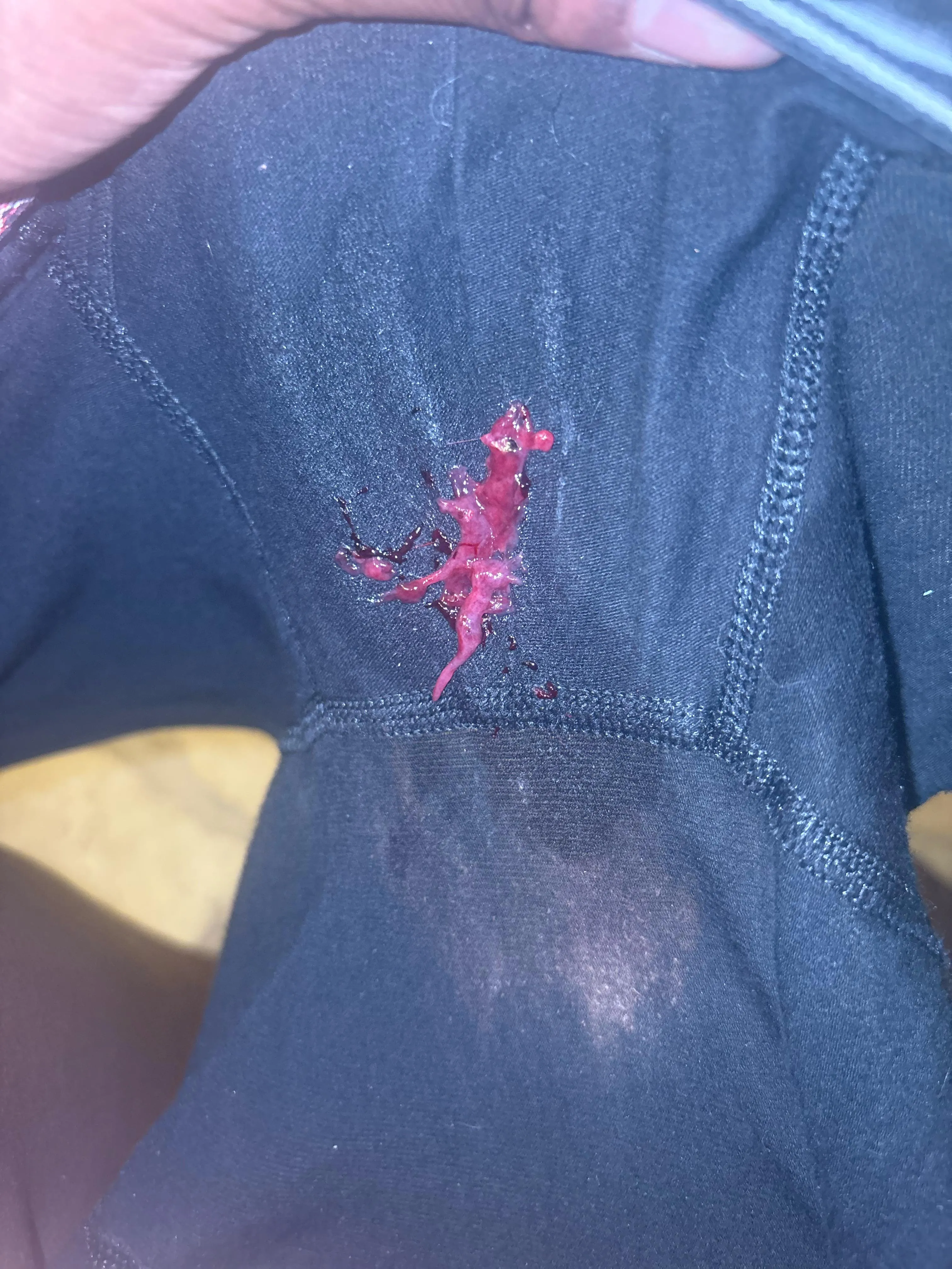 [NSFW]i had to fart and forgot i was on my period