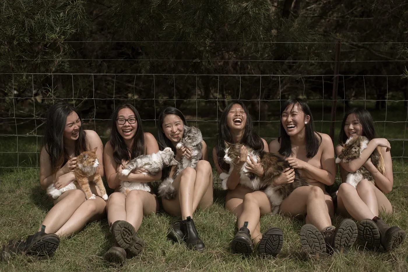 University of Sydney - Free Vets Range (2017)