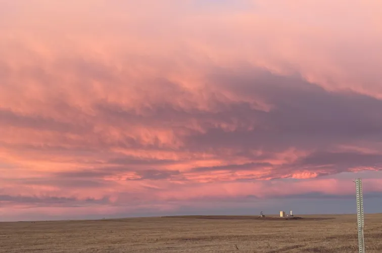 Calling all jeepers!