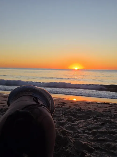 Looking for bull to use my wife with me, LA area please host