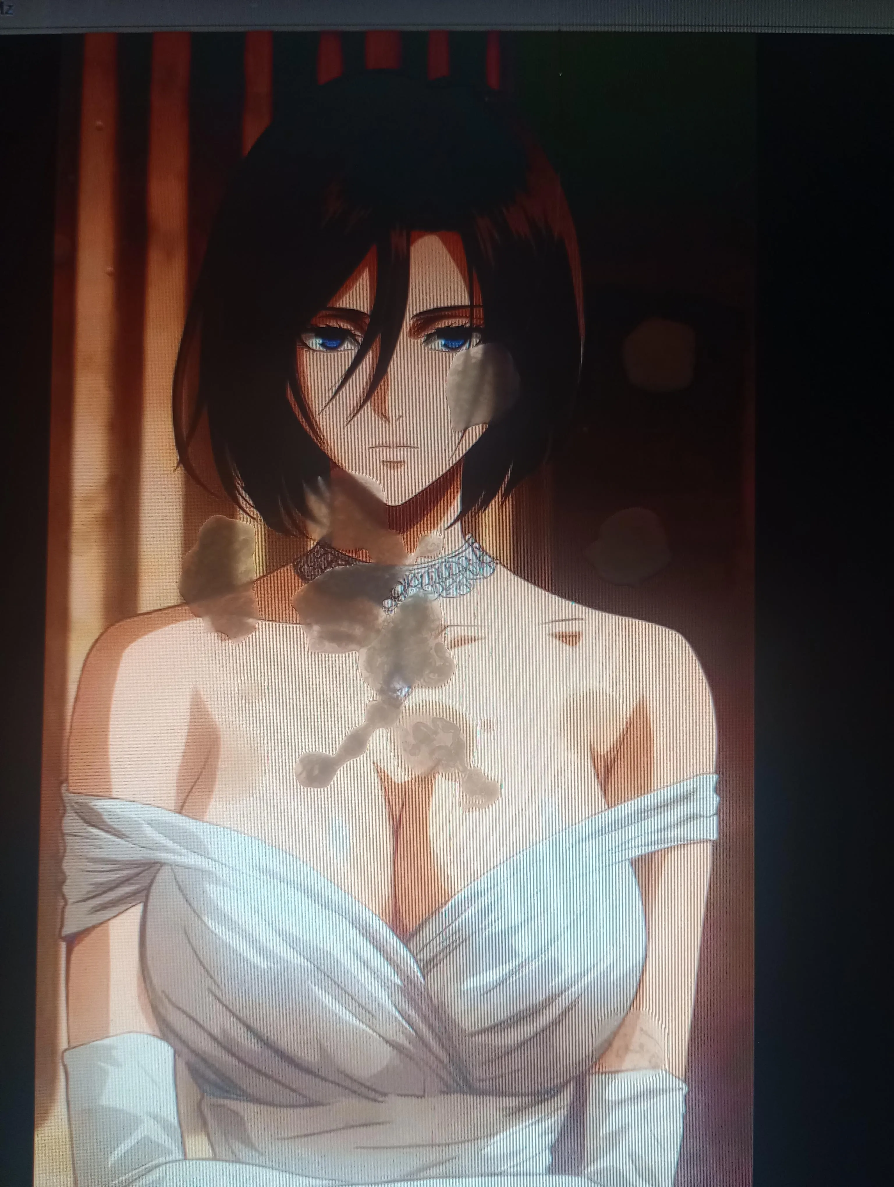 A tribute to Mikasa Arckerman