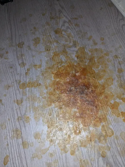 Little update. Many loads.