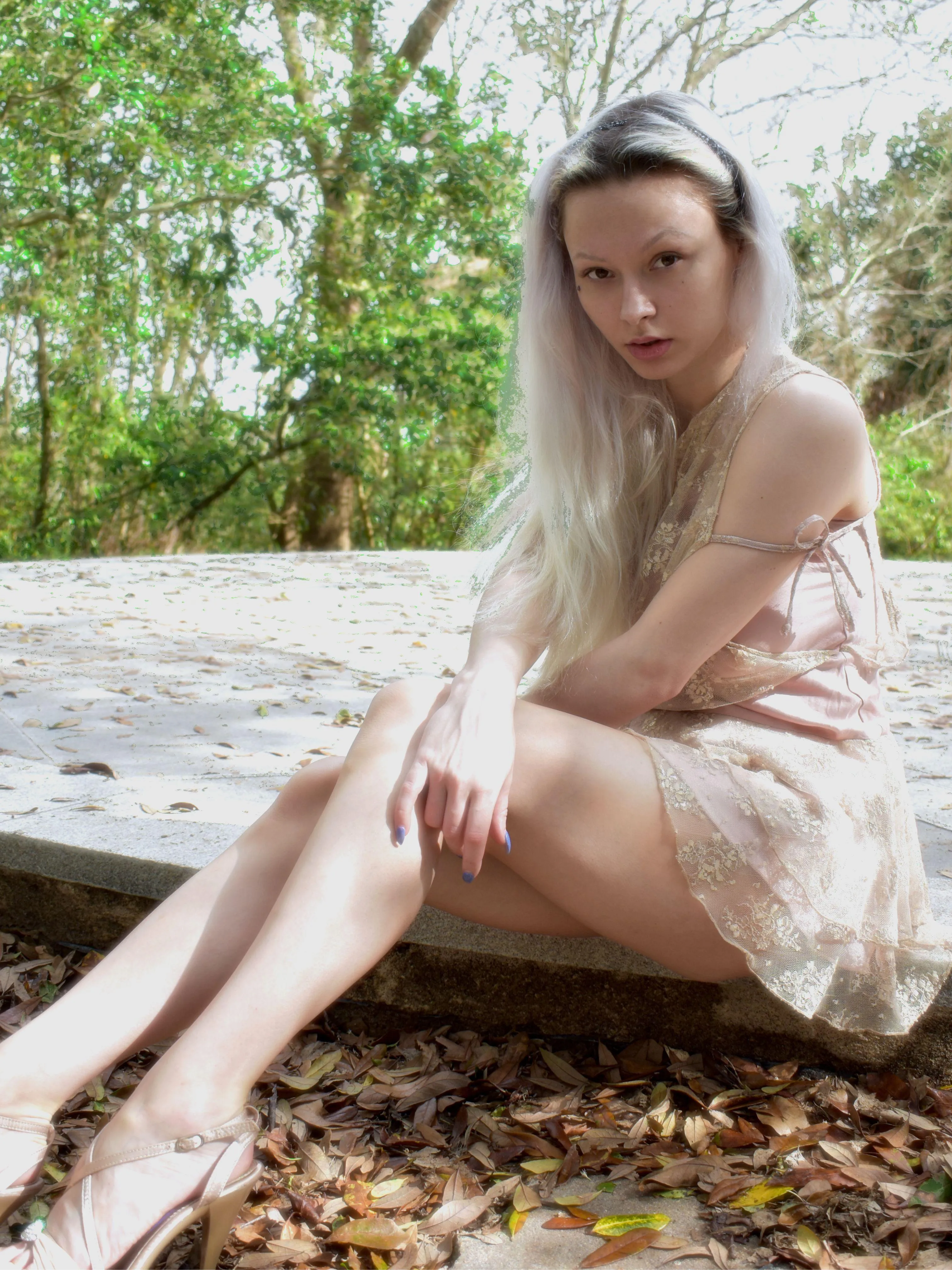 Welcome to my dream garden