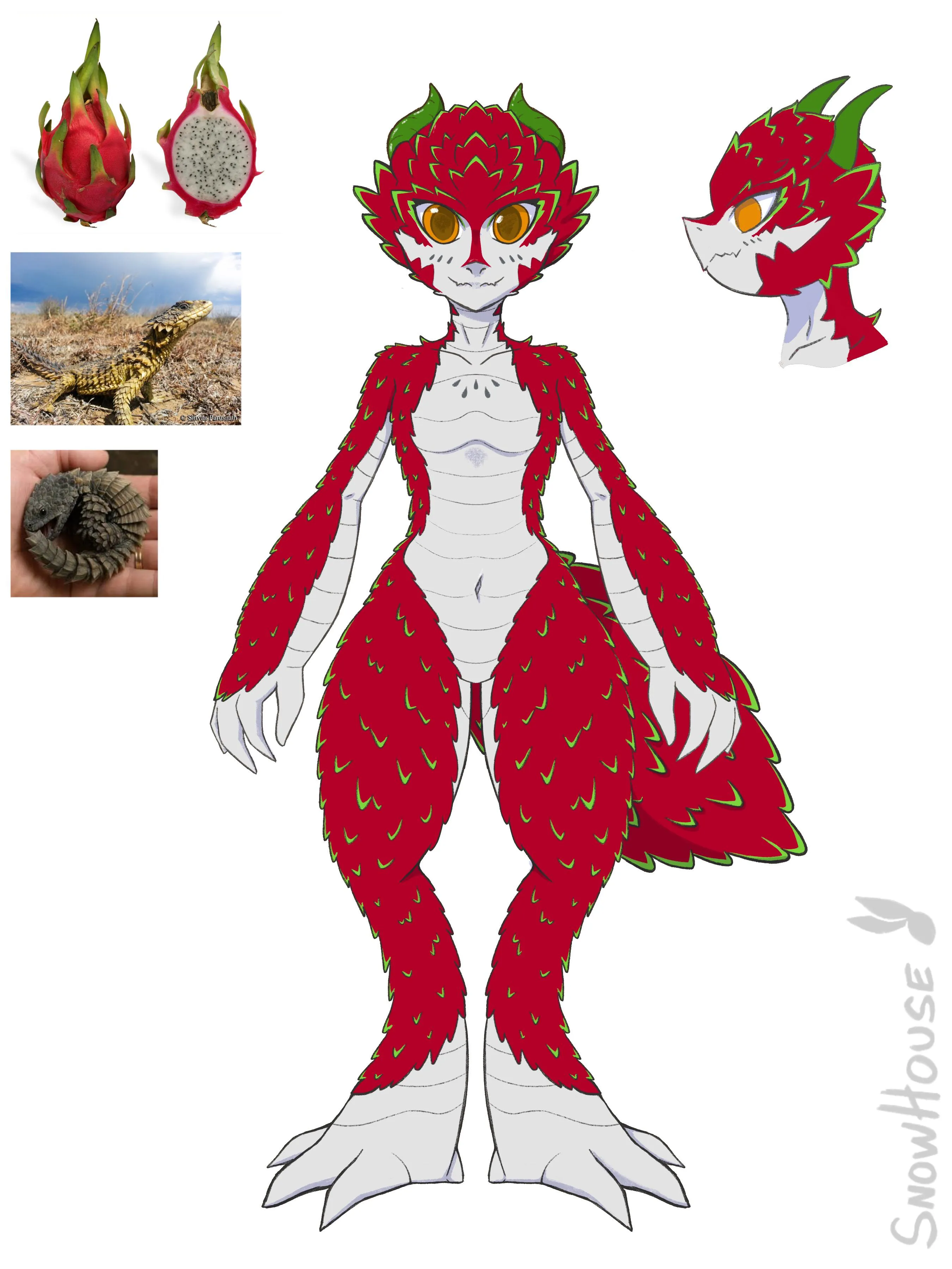 Dragon fruit kobold (oc)