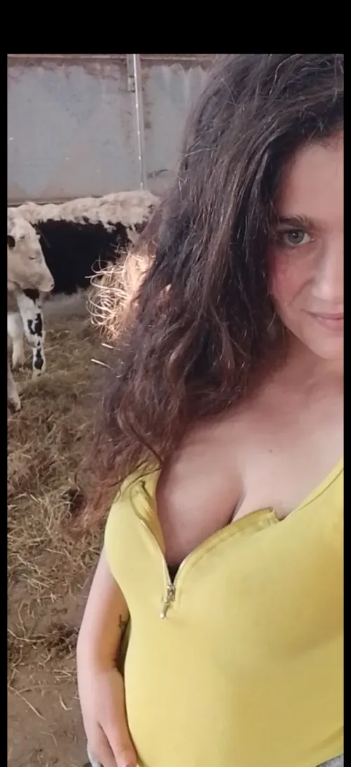 Un buon compromesso?