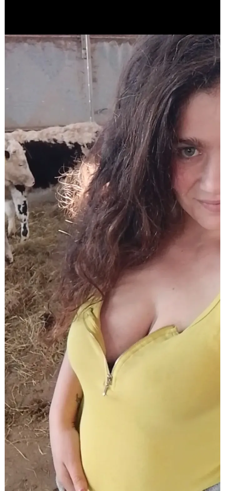 Un buon compromesso?