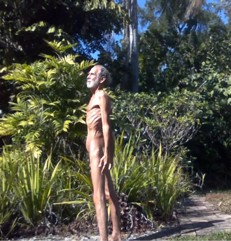 We humans often forget that we are solar powered