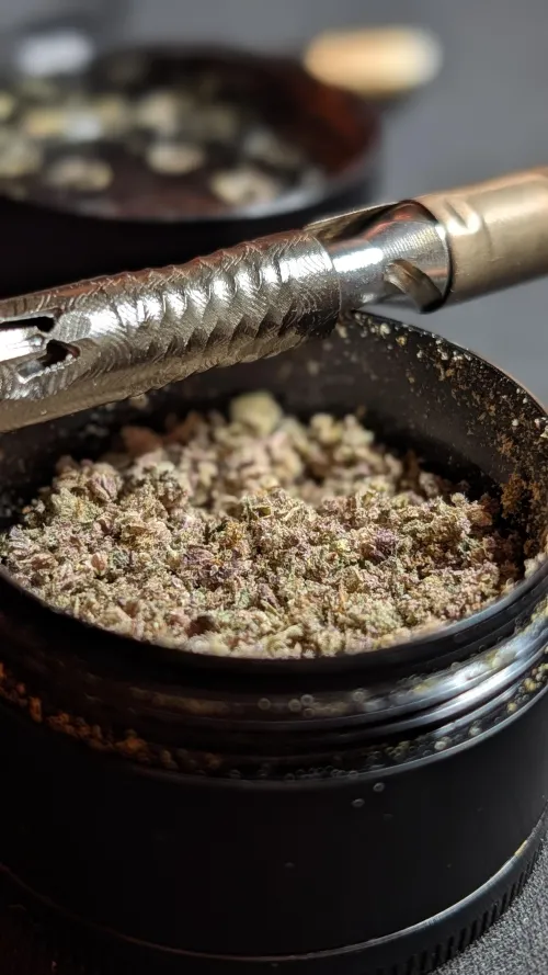 What are we clicking today?