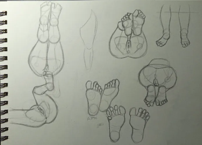 Day four of learning legs. So i wanted to focus more on the feet.