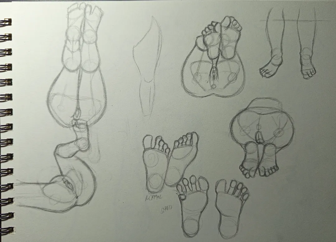 Day four of learning legs. So i wanted to focus more on the feet.