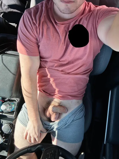 Afternoon sun is good for the soul ☀️