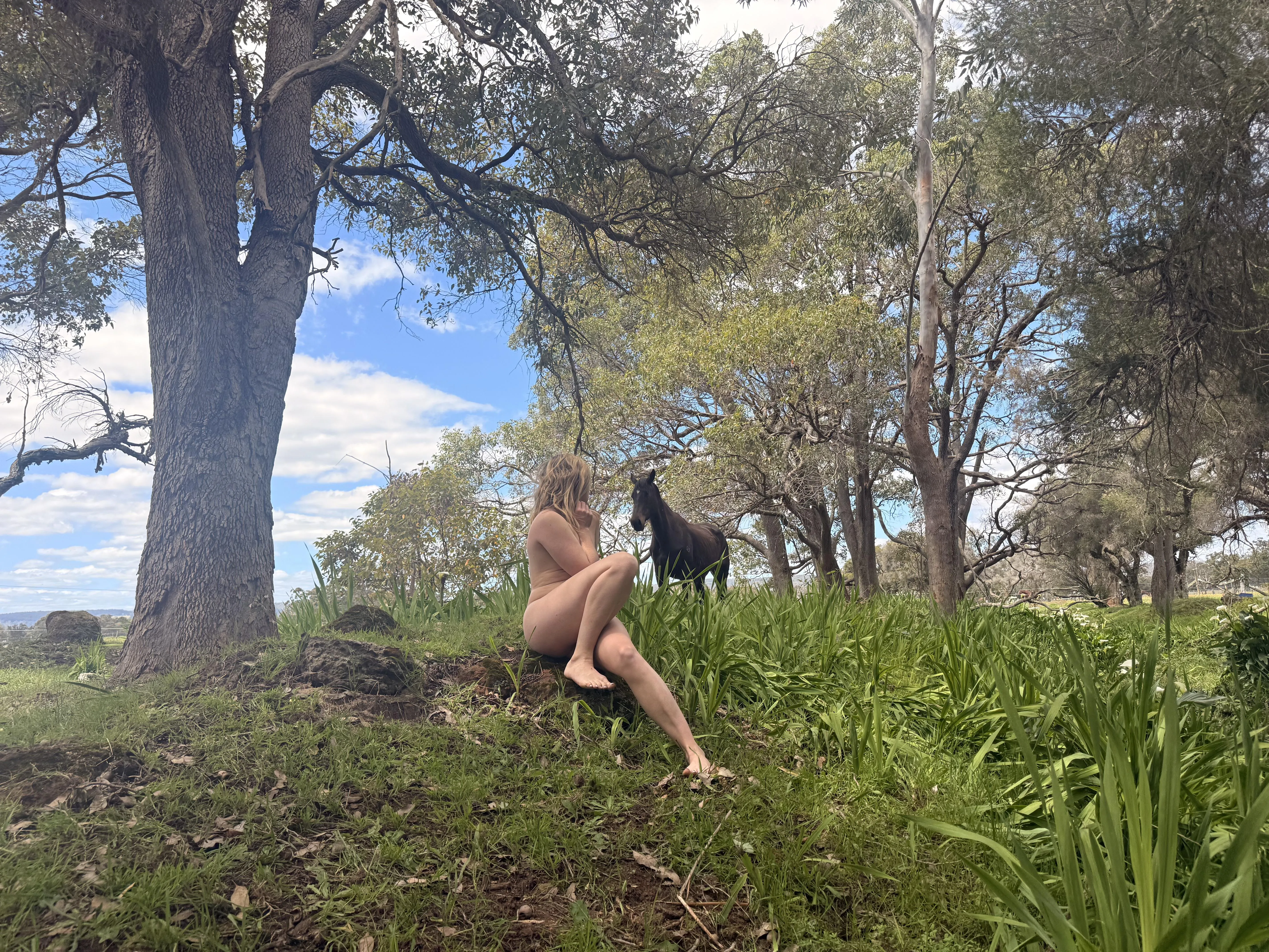 Because what more do you need