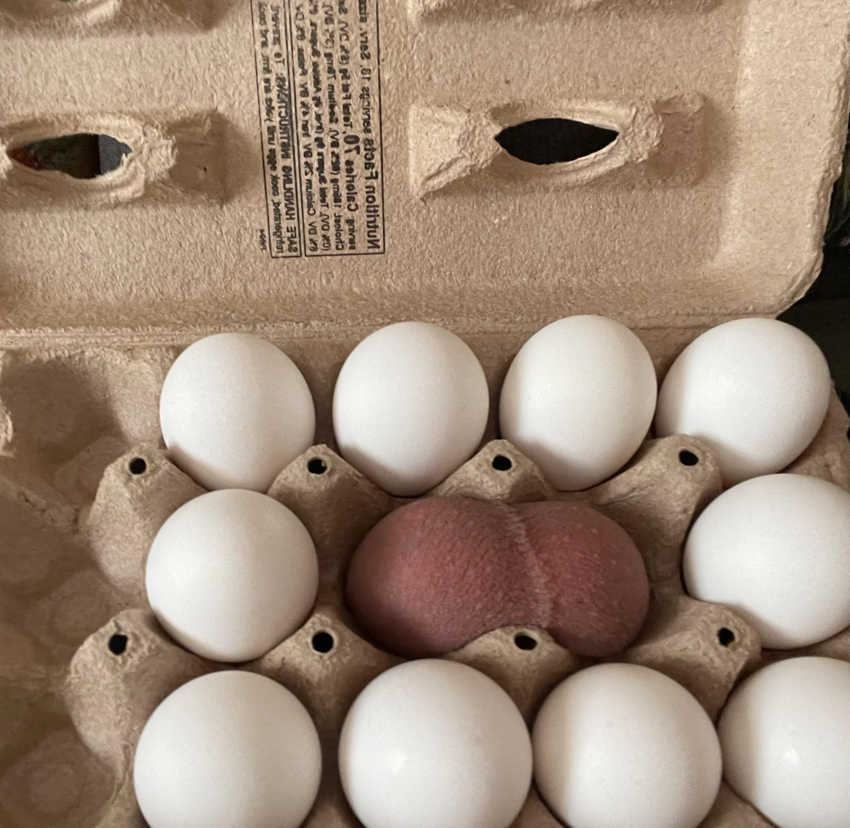 Something seems off about these eggs..