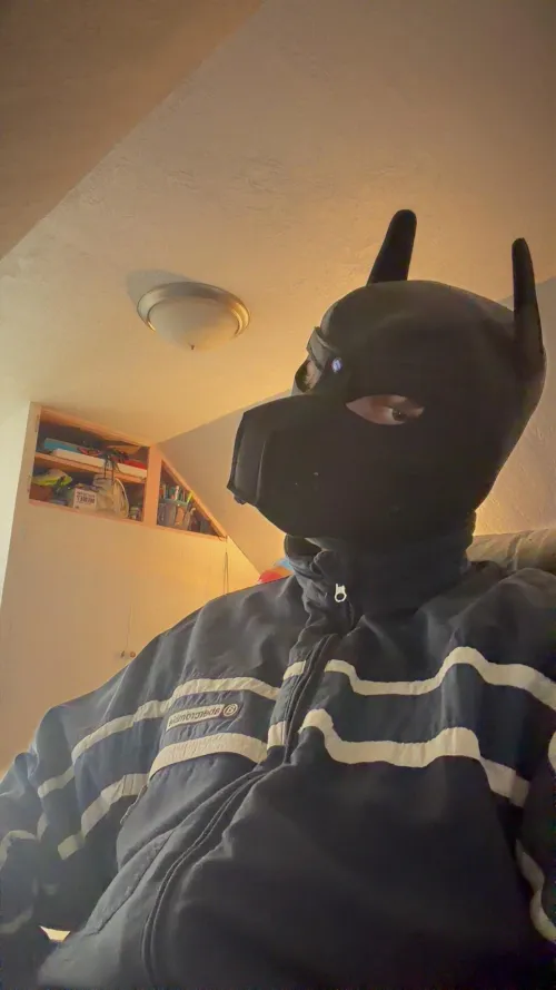 Got my First pup mask excited