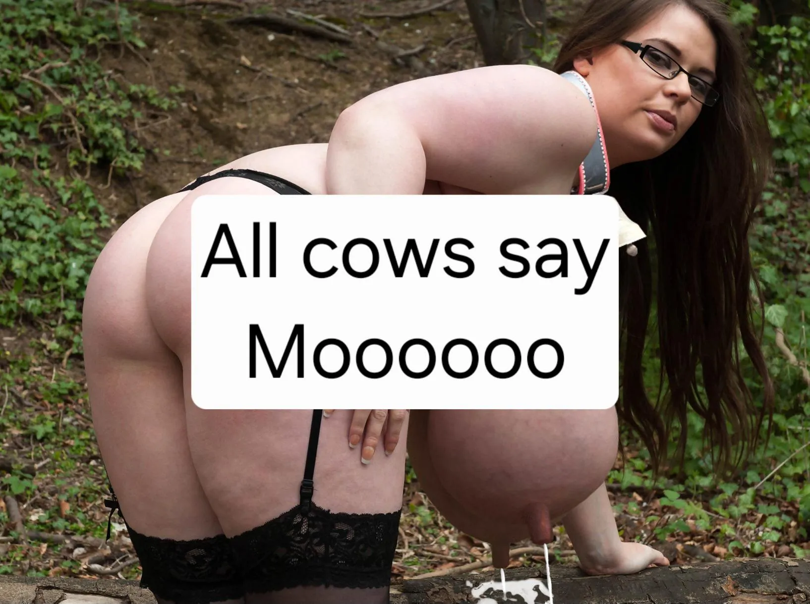 Where are the hucows?