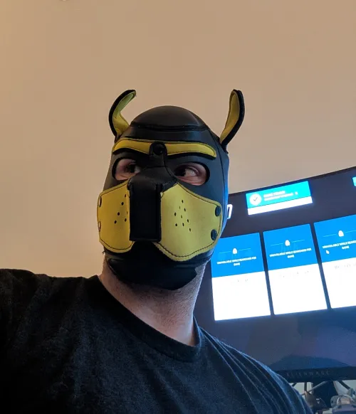 Who y'all think this pup mains?