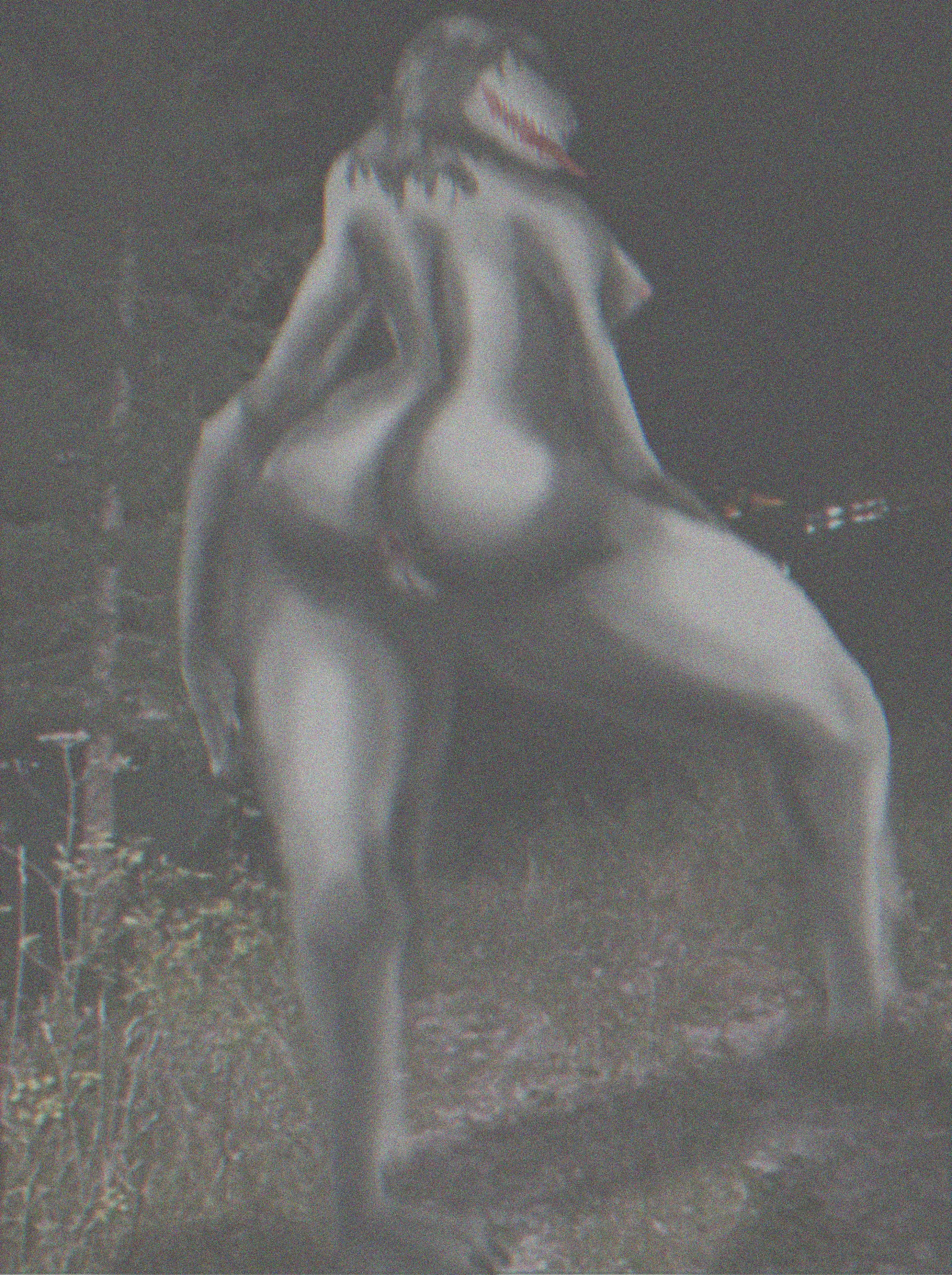 Sam at Midnight [F] (OC)