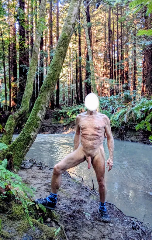 Tree Pose Tuesday: in the redwood forest.