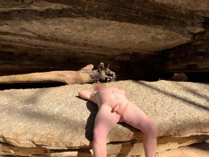 Warm Sunny January day