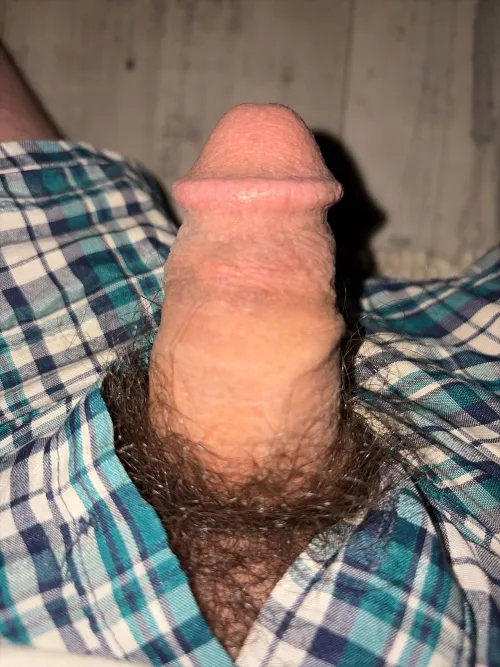 [36] anyone want a nibble?