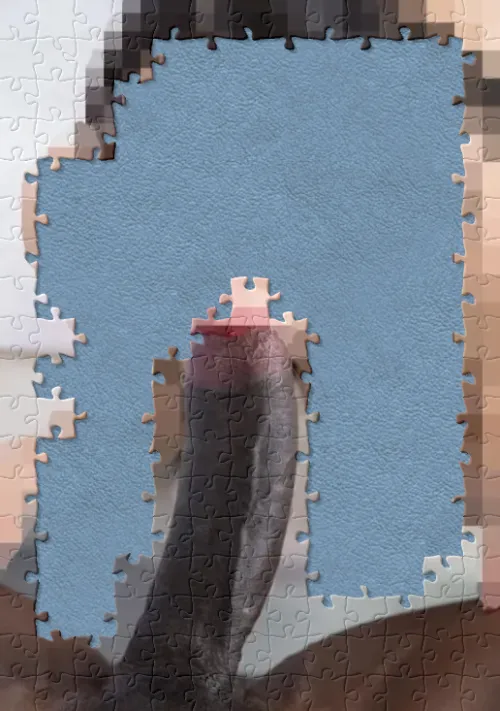 All the pieces found. Finally, really proud to enjoy this puzzle haha