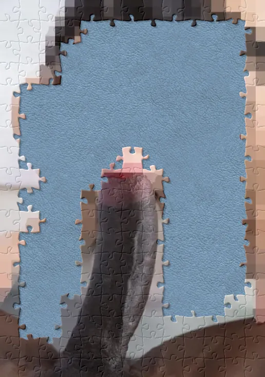 All the pieces found. Finally, really proud to enjoy this puzzle haha