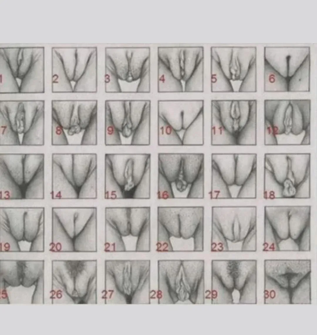 Exposure self, tell me what type of pussy you have