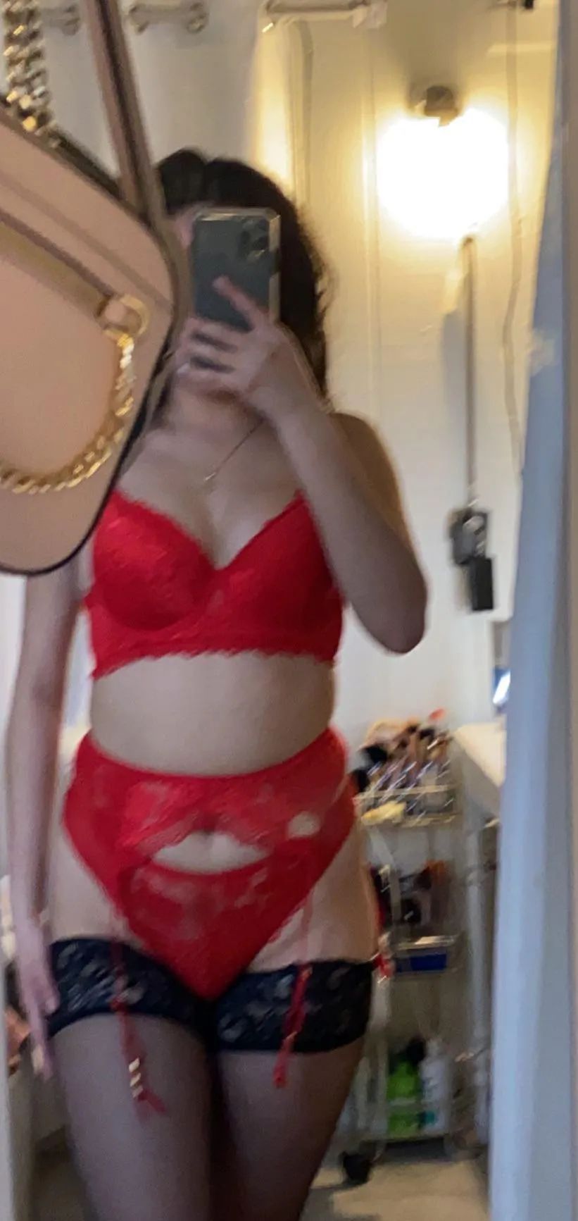 Looking for bull February 14th