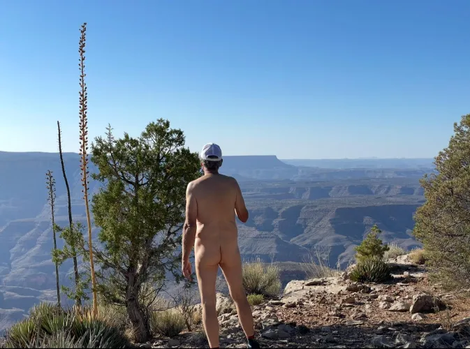 Twin Point ✨🌟✨Grand Canyon Parashant National Monument