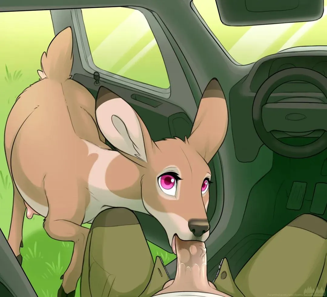 curious doe (loimu) [F]