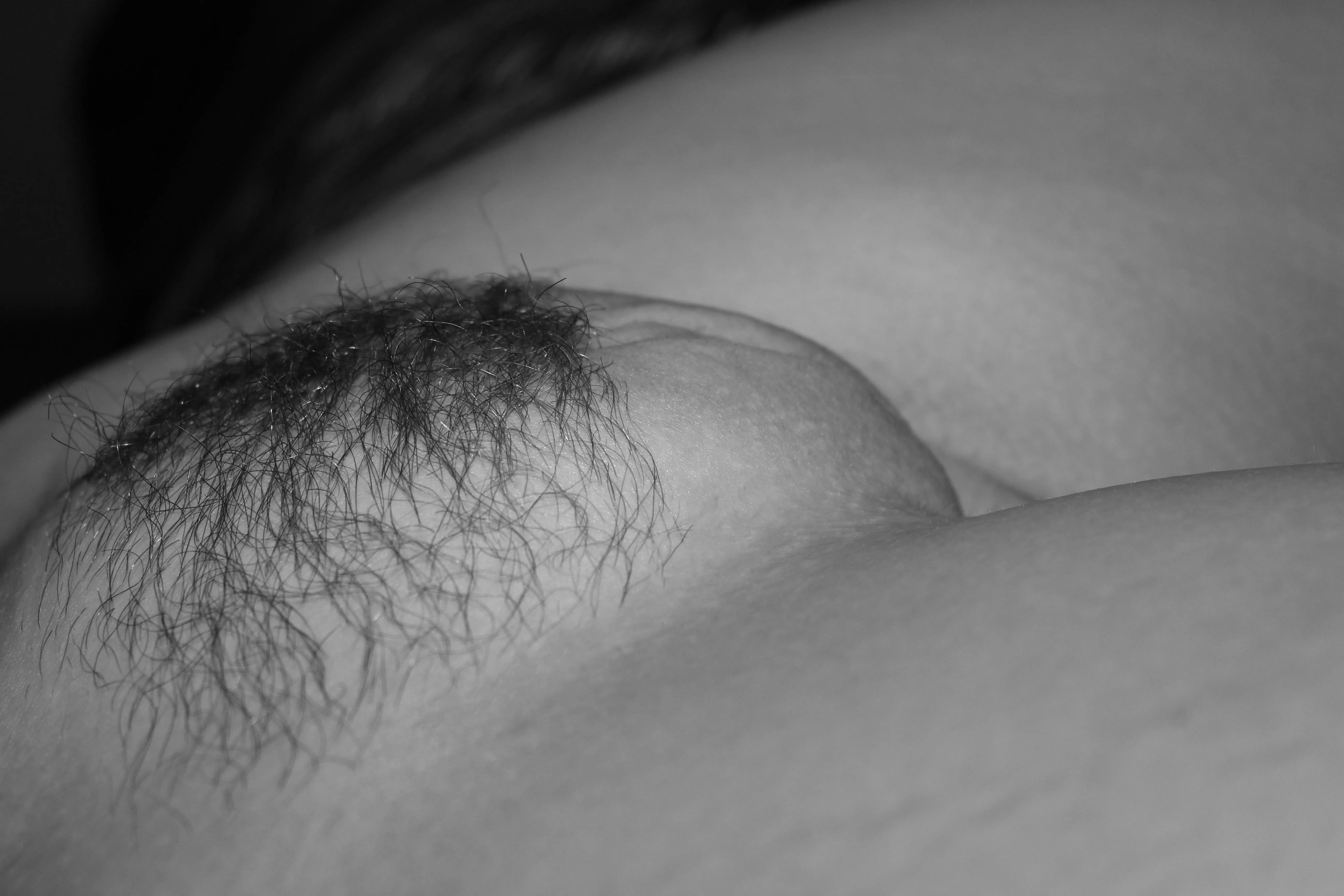 Mines a little fuzzy on top