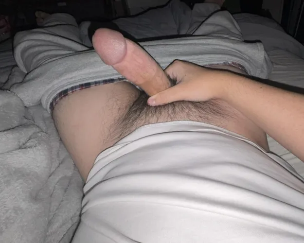 My morning wood is like a tree trunk