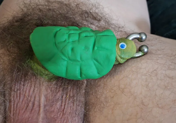 My terrapin-tackle to see in the new year