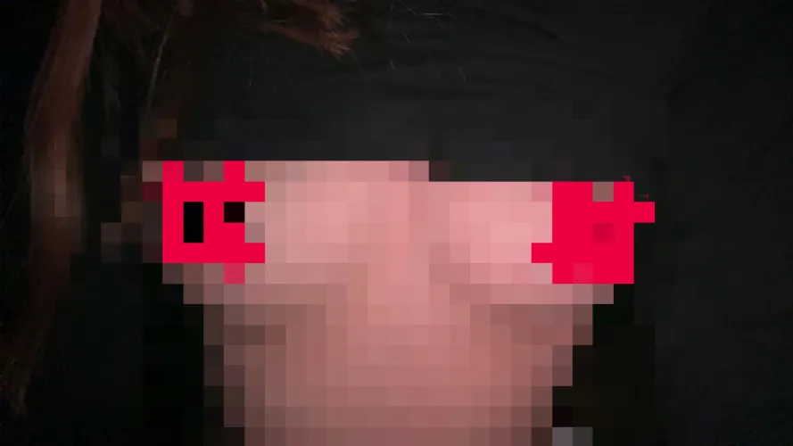 Obedience start with completing the first task 😉😈