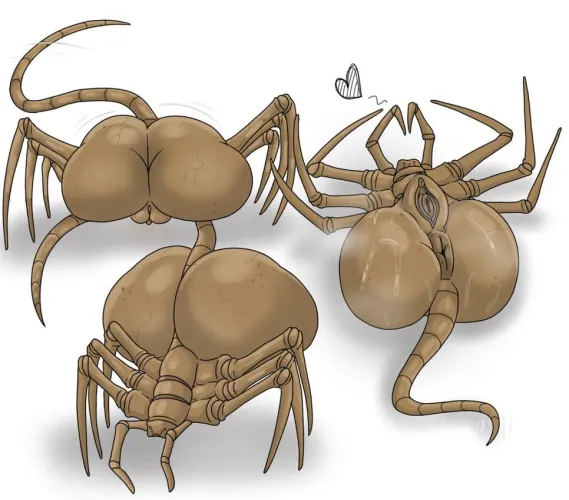 So what, its free (Japansadface) [F]