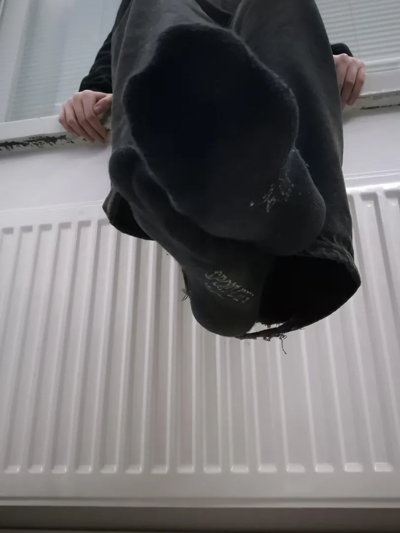 What do you think of them?