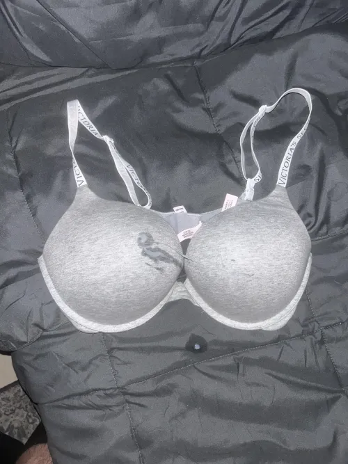 36c gray bra