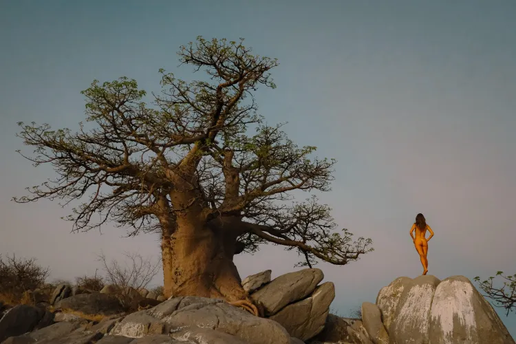 Ancient Baobab Trees of Botswana